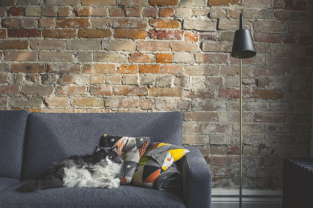7 Common Home Repairs in NYC (And Why You Should Hire a Local Handyman)